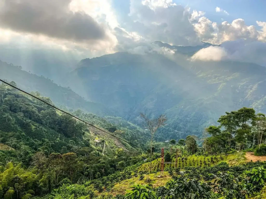 things to do in colombia