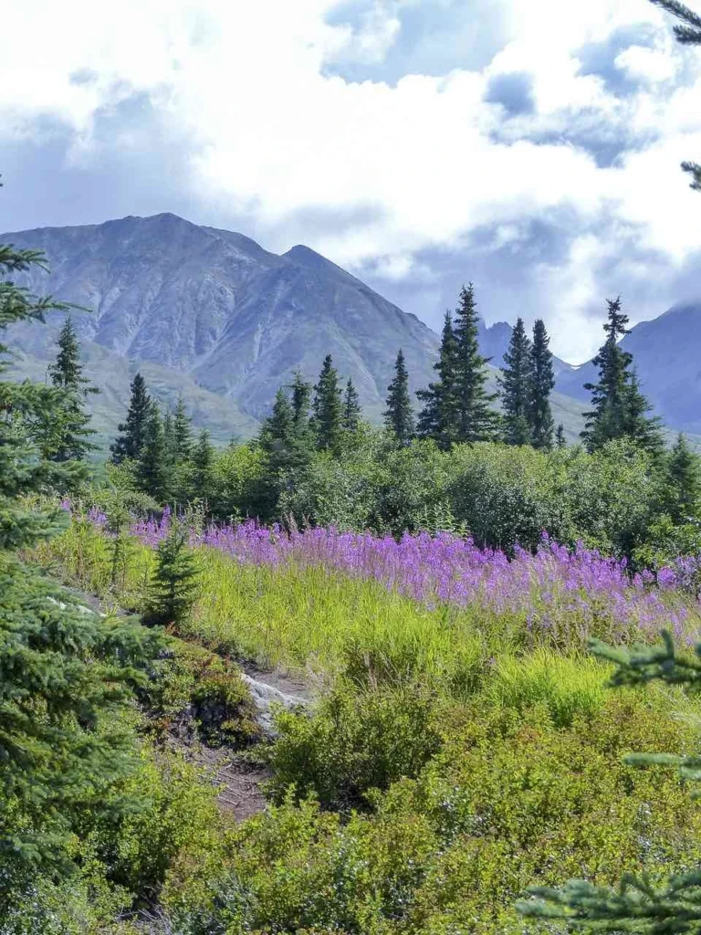 alaska itinerary 7 days
