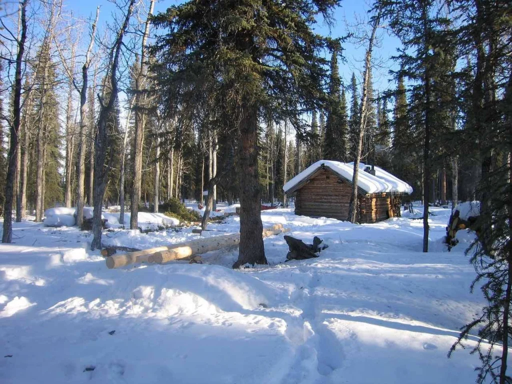 alaska itinerary 7 days