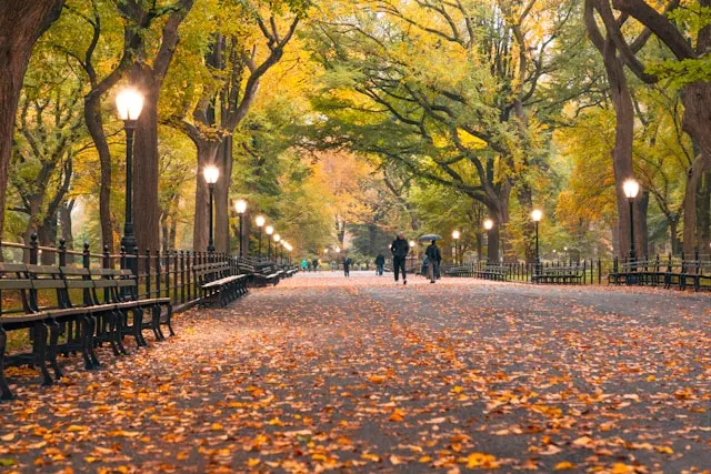 Best time to visit NYC
