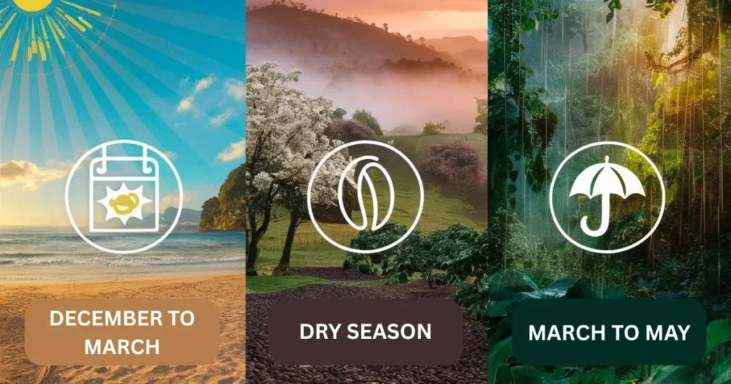colombia trip itinerary