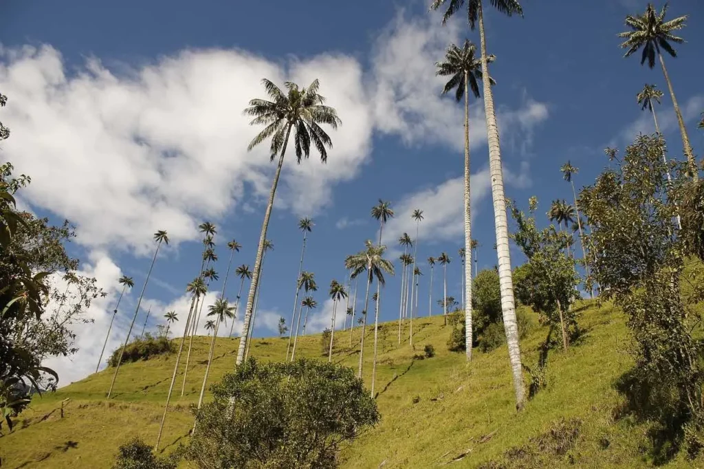 colombia trip itinerary