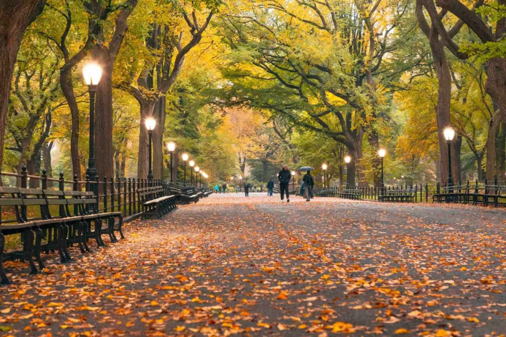 Cheap Things to Do in New York